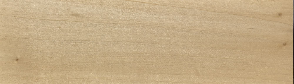 Poplar